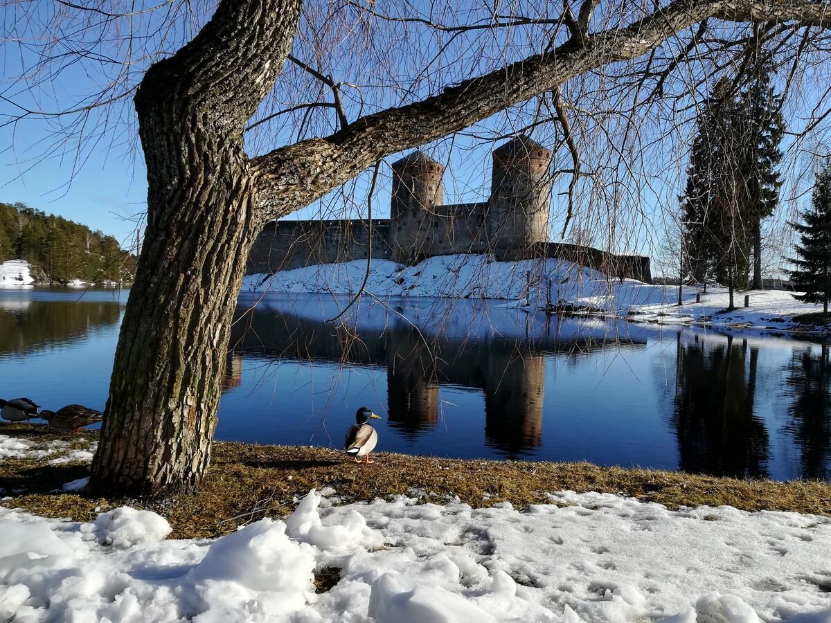 Хостелы Savonlinna Rentals Савонлинна-14